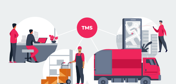 How To Set Up Data Exchange With TMS API Integration Coreteka