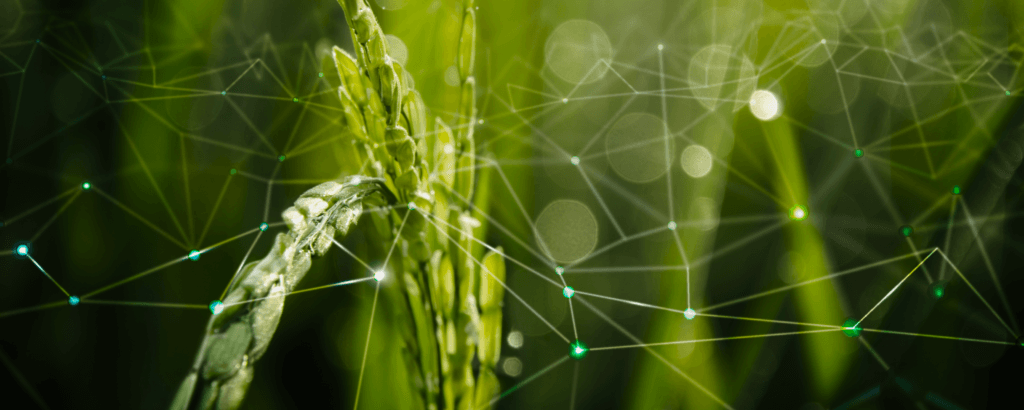 IoT in Agriculture: How Smart Farming Changes the Industry - 11