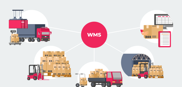 WMS Power Unlocked: API Integration Best Practices & Coreteka Cases